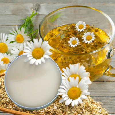 Amiable Chamomile  Lip Balm