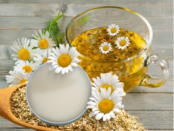 Amiable Chamomile  Lip Balm