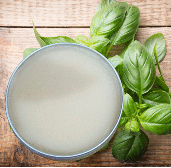 Basil Nourishing Lip Balm