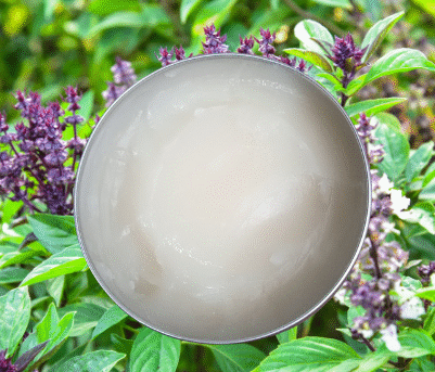 Sacred Family Moisturizing Salve