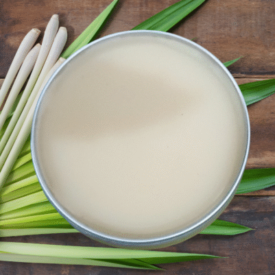 Good Shepherd Lemongrass & Litsea Lip Balm